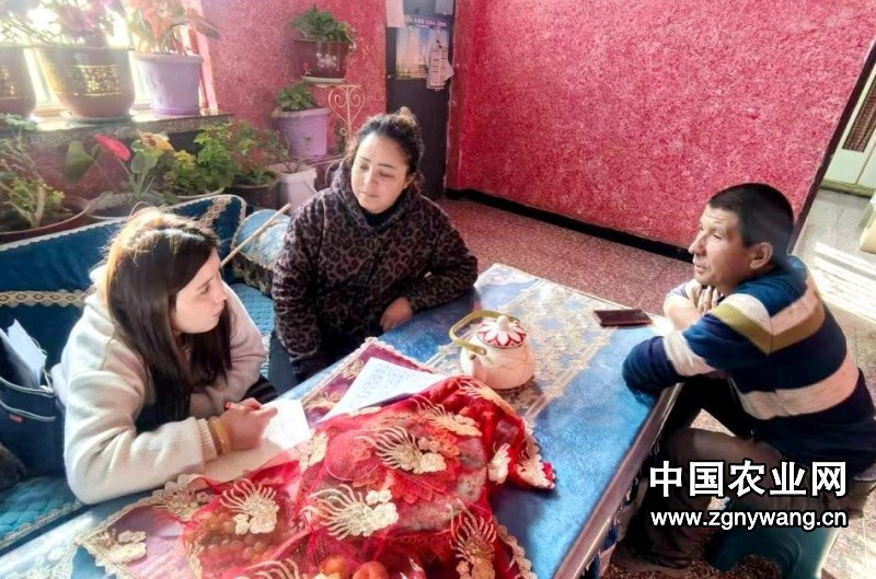 新疆和硕县曲惠镇：走访入户听民声 精准施策纾民困