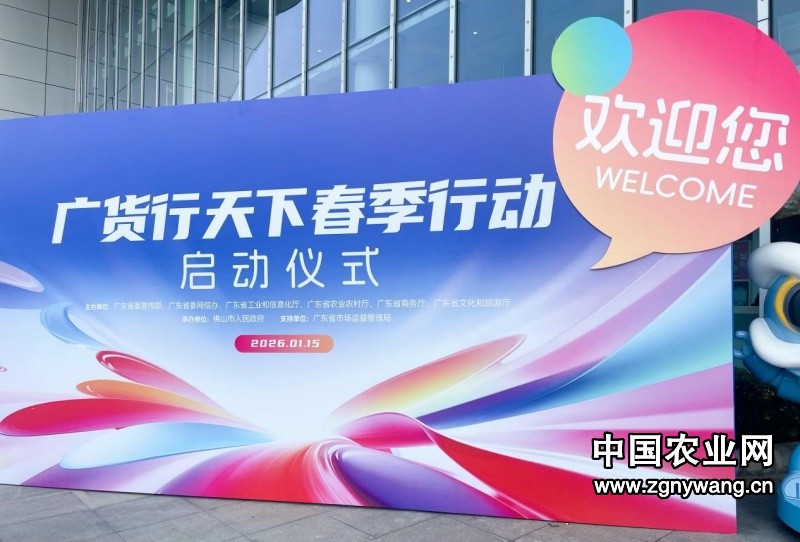 广东全链条赋能制造业“向新”，12场活动密集落地护航“开门红”