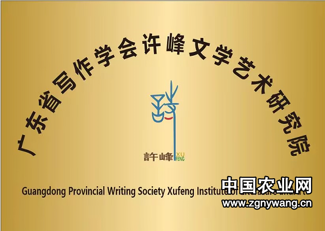 南昭古国 大理神韵