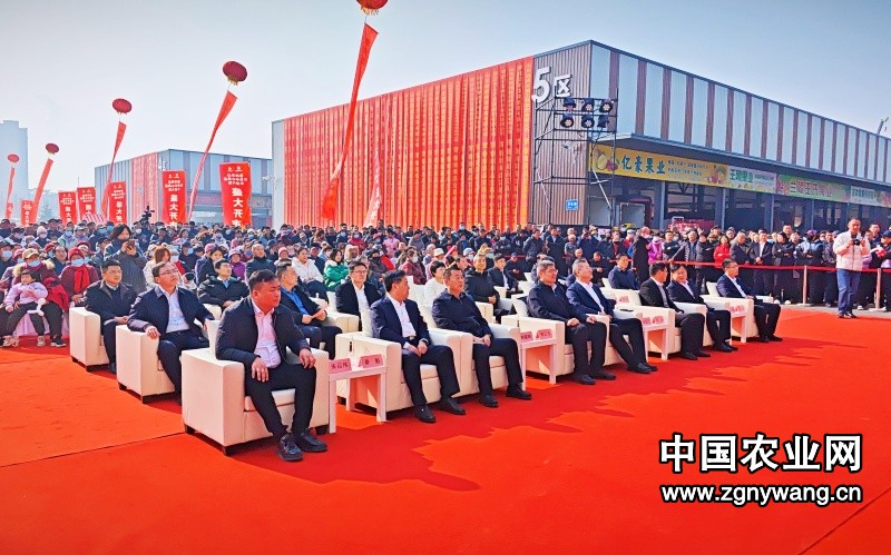 鲁南果品交易中心果品年货大集盛大启幕 打造鲁南区域果品流通新高地